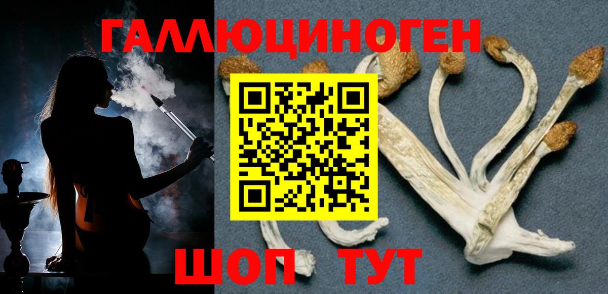 Галлюциногенные грибы GOLDEN TEACHER  Вход с VPN  Псилоцибиновые грибы GOLDEN TEACHER  Верхний Уфалей 