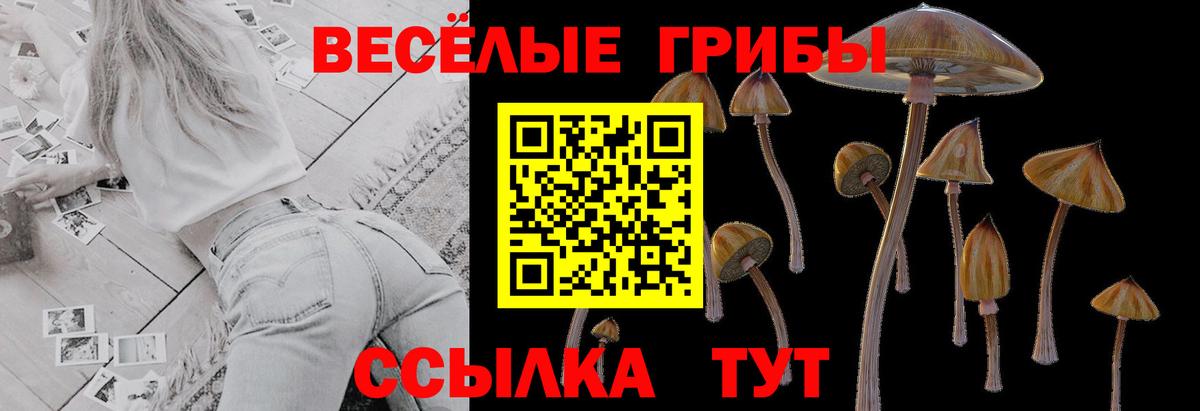Галлюциногенные грибы мухоморы Верхний Уфалей
